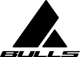 Logo BULLS